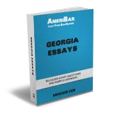 Georgia Essay Book